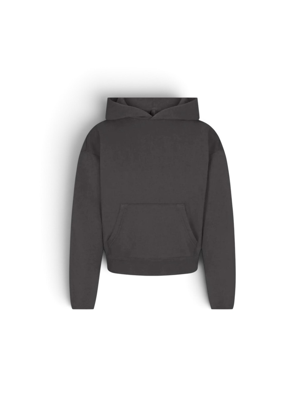 NWT SKIMS French Terry Hoodie Sweatshirt Ash Sz M